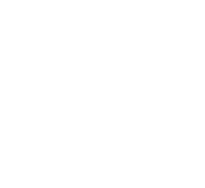 bjarlund Logo